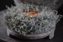 Asparagus krans wreath Grey