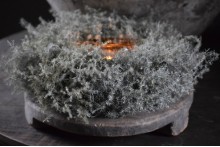 Asparagus krans wreath Grey