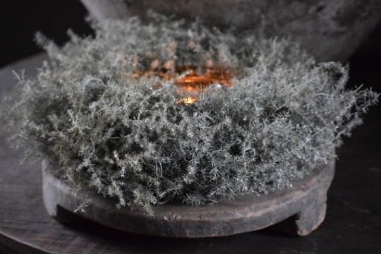 Asparagus krans wreath Grey