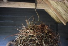 Druppel hanger Bonsai takken L