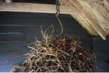 Druppel hanger Bonsai takken L