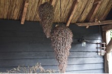 Druppel hanger Bonsai takken L