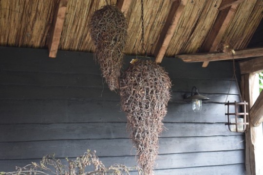 Druppel hanger Bonsai takken L