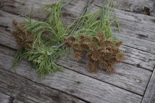 Kunsttak Queen Anne's Lace Green Mist .