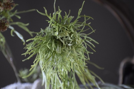 Kunsttak Queen Anne's Lace Green Mist .