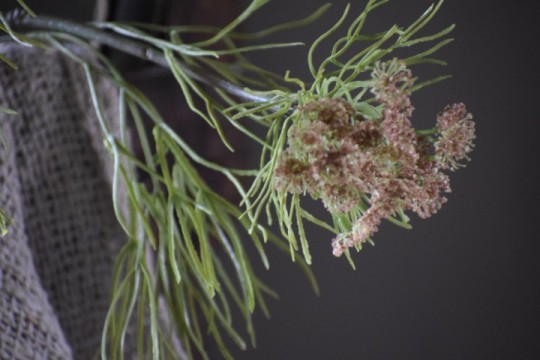 Kunsttak Queen Anne's Lace Green Mist .