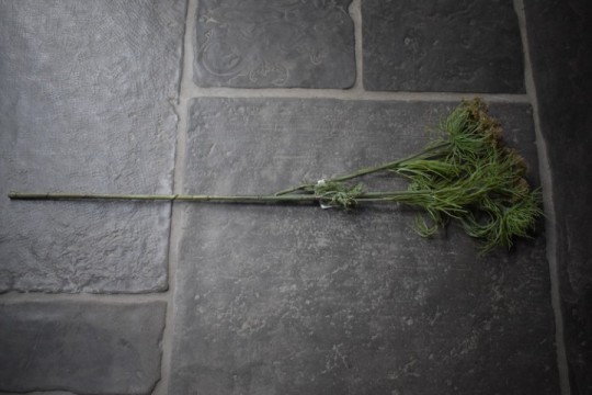 Kunsttak Queen Anne's Lace Green Mist .