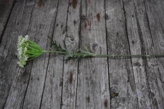  Dille Blossom Spray kunsttak.