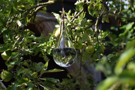 Glazen vliegenverjager