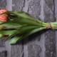 Kunst tulpen zalm koraal