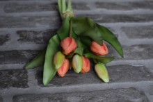 Kunst tulpen zalm koraal