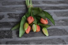 Kunst tulpen zalm koraal