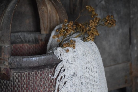 Kunsttak gipskruid bruin.