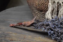 Kunst dadeltak zwart.