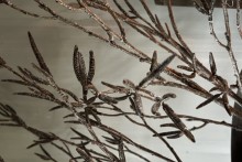 Twig brown 90 cm