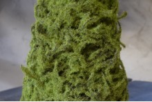 Kunst mos boompje M.