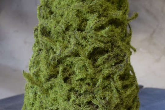 Kunst mos boompje S.