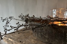 Wild Twig met besjes - Dark Brown