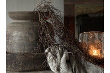 Twig Dried wood bush