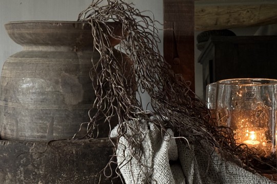 Twig Dried wood bush