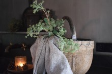 Angelica Stem kunsttak.