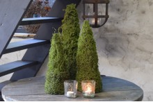 Kunst mos boompje S.