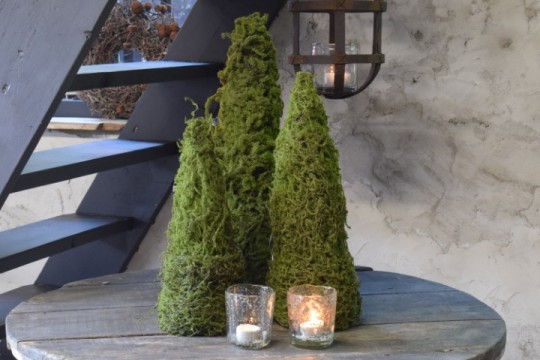 Kunst mos boompje S.