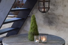 Kunst mos boompje S.