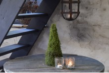 Kunst mos boompje S.