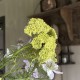 Veld boeket Blauw / Groen