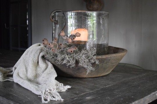 Mespulus Stem Brown.