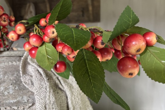 Kunst appeltak met frisse groene blaadjes