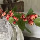 Kunst appeltak met frisse groene blaadjes