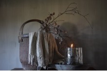 Mespulus Stem Brown.