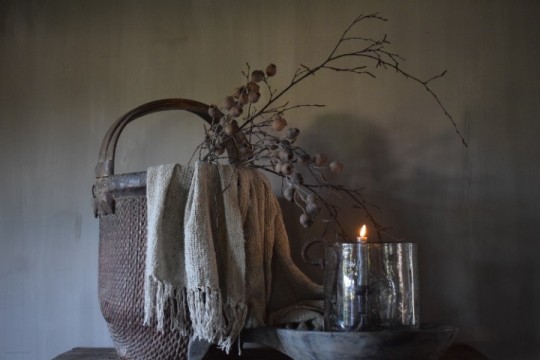 Mespulus Stem Brown.