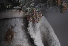 Bouvardia Stem Grey.