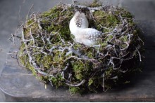 Bonsai nest 