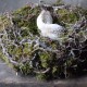 Bonsai nest 