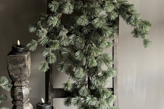 Larix Toef Real Touch