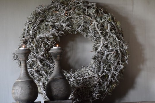 Krans grey  moss bonsai