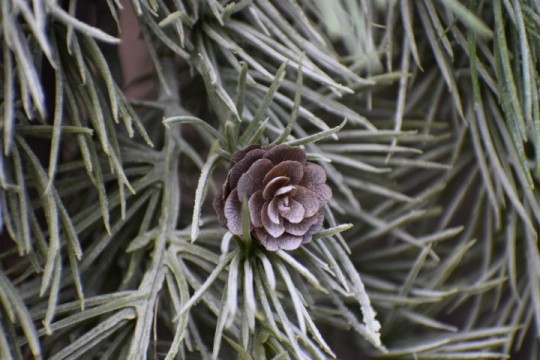 Ceder guirlande 120 cm met roestige bellen XL