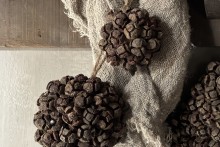 Rota bol bakuli M