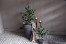 Larix boom M Real touch