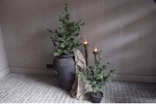 Larix boom M Real touch