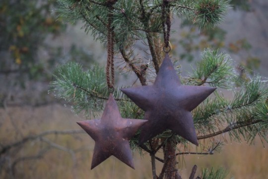 Roestige metalen kerstster XL