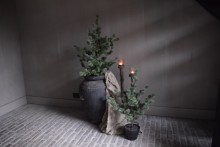 Larix boom S Real touch