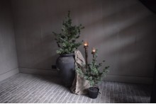 Larix boom S Real touch