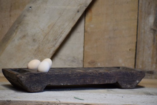 Old egg tray 1