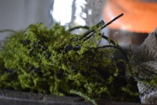 Mos twijg groen Real Touch.