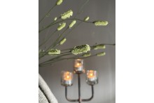 Burnet Spray groen